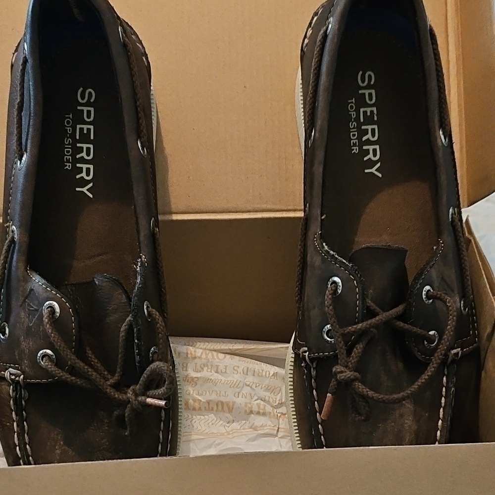 Sperry Men's Dark Brown Boat Shoes